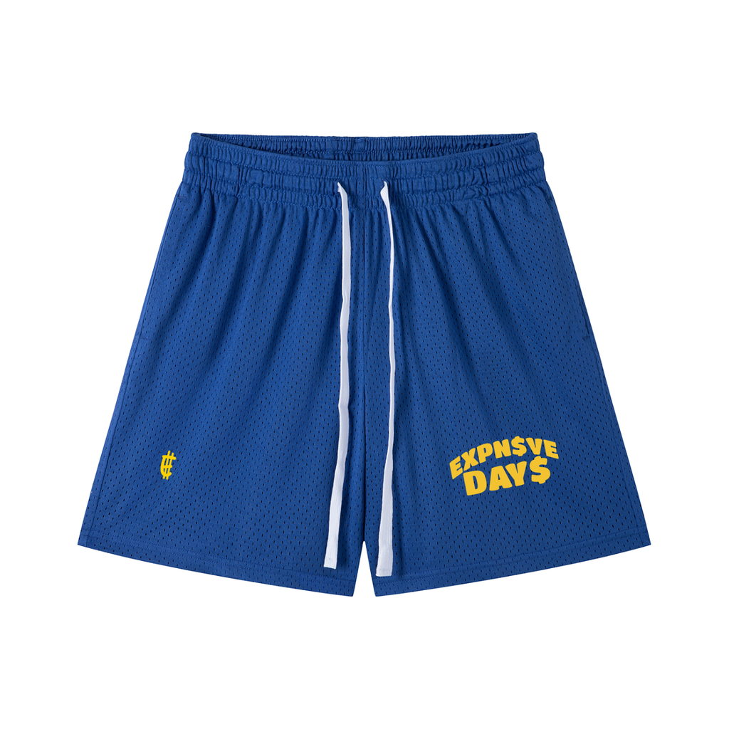 EXPN$VE DAY$ MESH SHORTS —RAMS