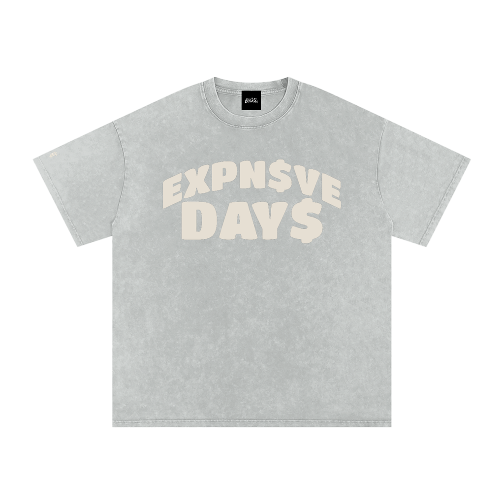EXPN$VE DAY$ OVERSIZED TEE —BONE