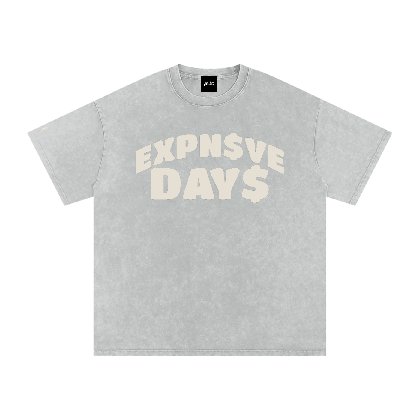 EXPN$VE DAY$ OVERSIZED TEE —BONE